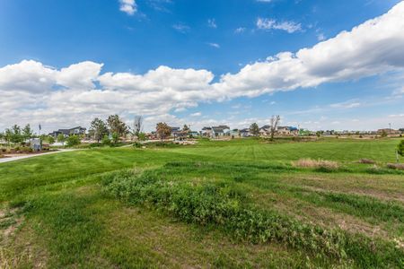 Trailside Alley Load - Single Family Homes 52