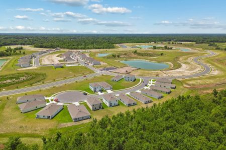 Fox Branch by M/I Homes in Lakeland - image