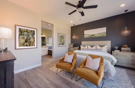 IronWing at Windrose by David Weekley Homes in Litchfield Park - photo 53 53