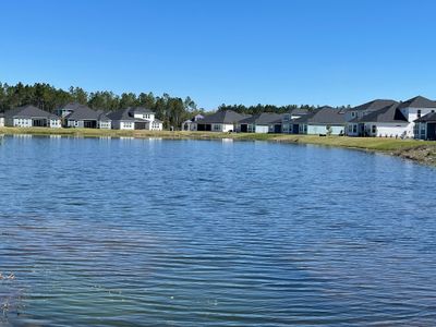 Holly Landing at SilverLeaf by Dream Finders Homes in St. Augustine - photo 7 7