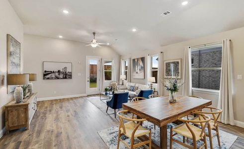 Anna Ranch by Brightland Homes in Anna - photo 20 20