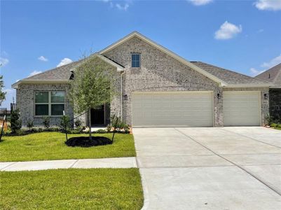 Sierra Vista West by Colina Homes in Rosharon - photo 8 8