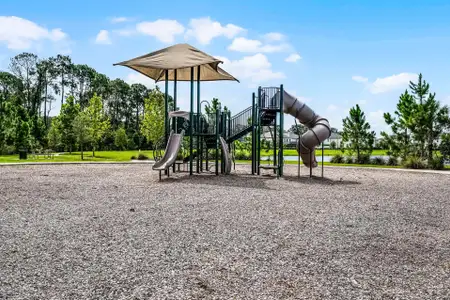 Northlake At Ovation by Rockwell Homes in Winter Garden - image 3