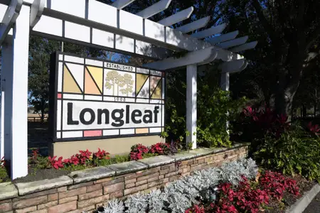 Hawk Longleaf by Homes by WestBay in New Port Richey - image