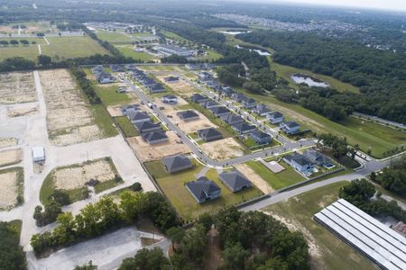 Wolf Lake Ranch by M/I Homes in Apopka - image