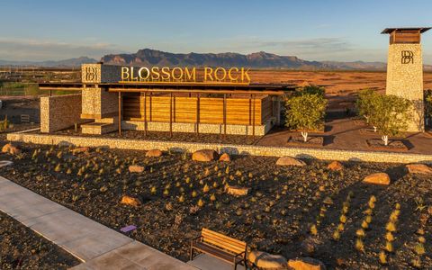 Wildflower at Blossom Rock by Brookfield Residential in Apache Junction - image 16