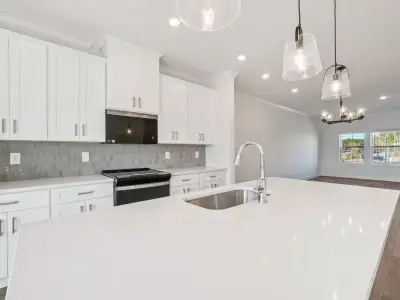 Meadows at Wilson Farms - The Heights Series by Meritage Homes in Fort Mill - image 4