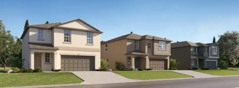 Berry Bay: The Manors by Lennar in Wimauma - photo 0