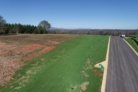 Messer Farms by Enchanted Homes in Inman - image 15