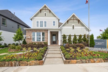 Painted Tree - Classic Series by David Weekley Homes in McKinney - photo 39 39