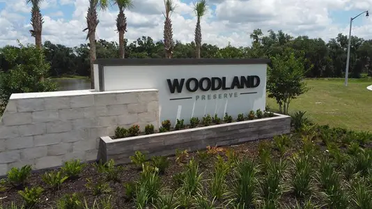 Woodland Preserve 55+ by Ryan Homes in Parrish - image