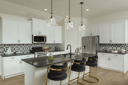 Solterra Texas by Coventry Homes in Mesquite - photo 20 20