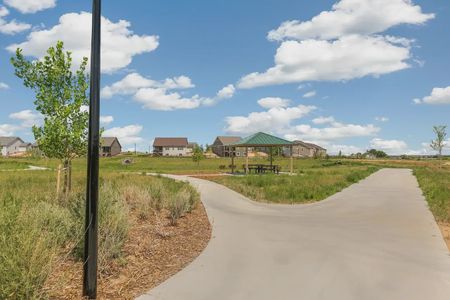 Waterside at Todd Creek by D.R. Horton in Thornton - photo 11 11