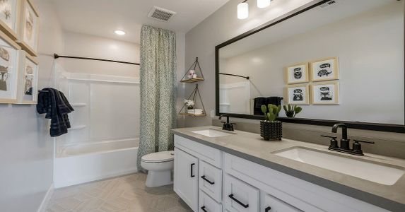 Eminence at Alamar by William Ryan Homes in Avondale - photo 33 33