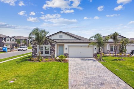 Cobblestone by M/I Homes in Zephyrhills - photo 29 29