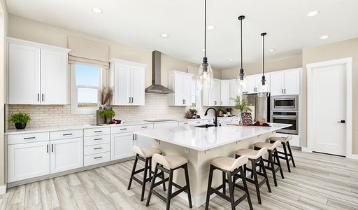 Oak Ridge at Crystal Valley by Richmond American Homes in Castle Rock - photo 53 53