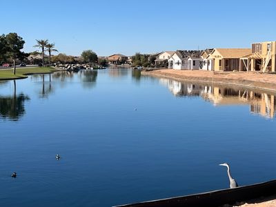 Seasons at Rancho El Dorado IV by Richmond American Homes in Maricopa - photo 1 1