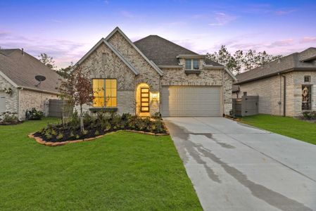 ARTAVIA: 50ft. lots by Highland Homes in Conroe - photo 17 17