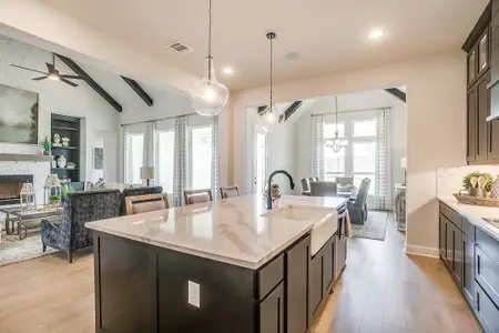 Cunningham Estates by John Houston Homes in Waxahachie - image 4