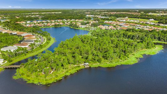 Grand Palm by Neal Communities in Venice - image