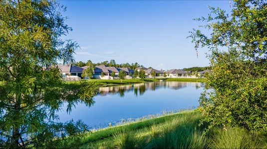 Angeline Active Adult: Active Adult Estates 43