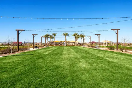 Bella Vista Farms by Tri Pointe Homes in San Tan Valley - photo 10 10