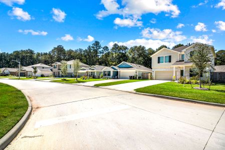 Miller's Pond by M/I Homes in Rosenberg - photo 17 17