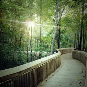 Pandora's Path by Veranda Homes in Florence - image