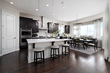 Fossil Creek by Richmond American Homes in Windsor - photo 6 6