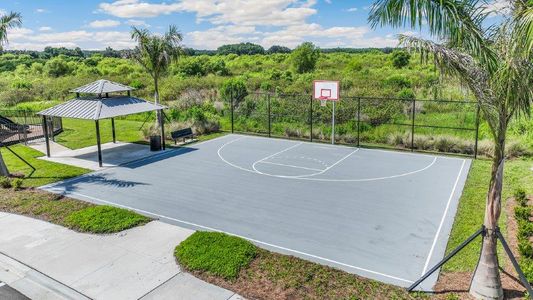 Farm at Varrea Townhomes by D.R. Horton in Plant City - photo 16 16