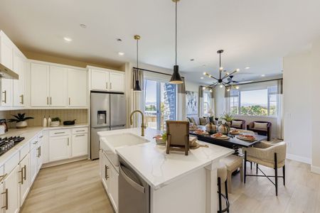 Uplands - Paired Homes 34