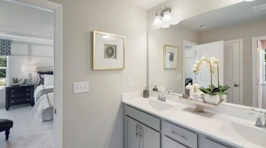 Carolina Springs: Designer 17