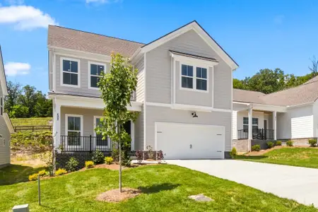 Blakeney by Regent Homes in Smyrna - image 4