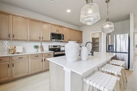 Bloom Trailblazer Collection - Single Family Homes 11