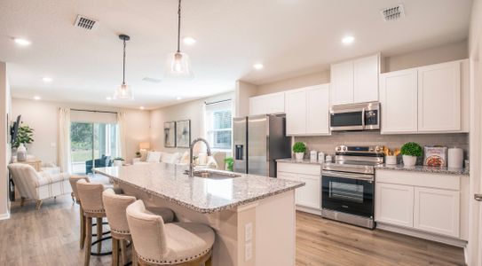Palm Coast Signature 6