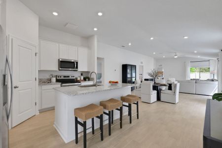 Diamond Springs by Dream Finders Homes in Jacksonville - image 19