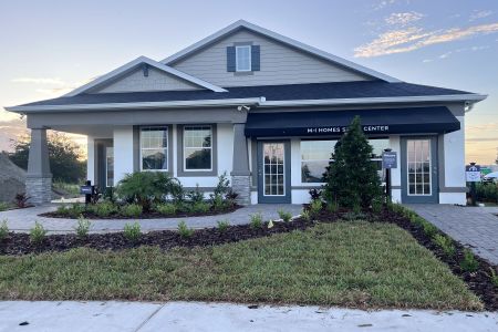 Bay Lake Farms by M/I Homes in St. Cloud - photo 3 3