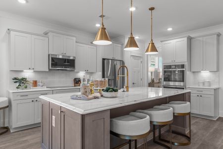 Belmont at Albemarle by Chesapeake Homes in Hertford - image 7
