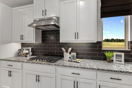 Castle Hills Northpointe - 41s by American Legend Homes in Lewisville - photo 9 9