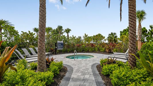 Esplanade at Azario Lakewood Ranch by Taylor Morrison in Lakewood Ranch - image 19