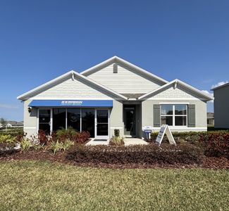 Oak Pointe by D.R. Horton in Apopka - photo 21 21