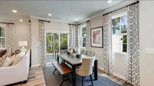 Carolina Springs: Designer 8