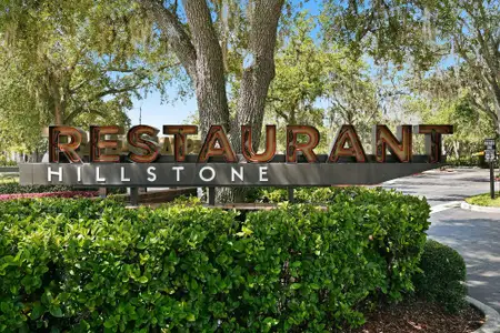 The Towns at Trelago by David Weekley Homes in Maitland - image