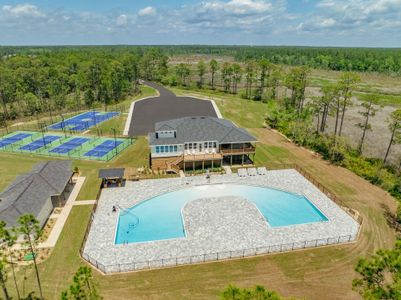 Crescent and Symphony at Hammock Bay by DSLD Homes in Freeport - image 2