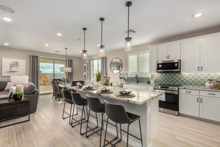 Wildera – Valley Series by Risewell Homes in San Tan Valley - image 3