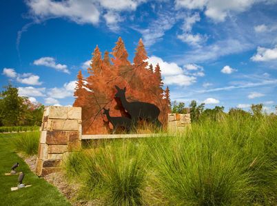 Woodforest Townhomes by Highland Homes in Montgomery - image 4