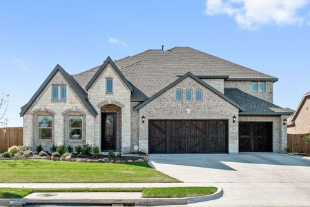 Triple Diamond Ranch by Bloomfield Homes in Mansfield - photo 3 3