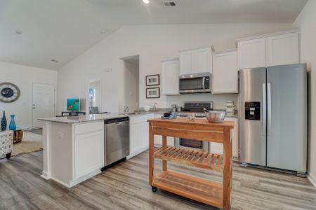 Stillpointe by Great Southern Homes in Sumter - image 5