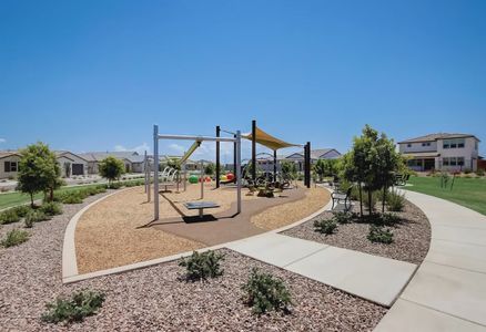 Ascent at Jorde Farms by Shea Homes in Queen Creek - photo 10 10