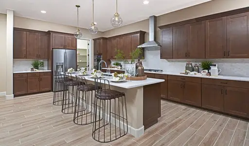 Madera West Estates by Richmond American Homes in Queen Creek - photo 22 22